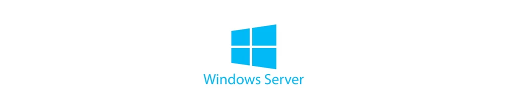 Windows Server